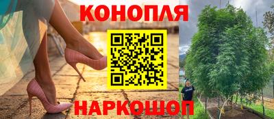 ГАЛЛЮЦИНОГЕННЫЕ ГРИБЫ Краснознаменск