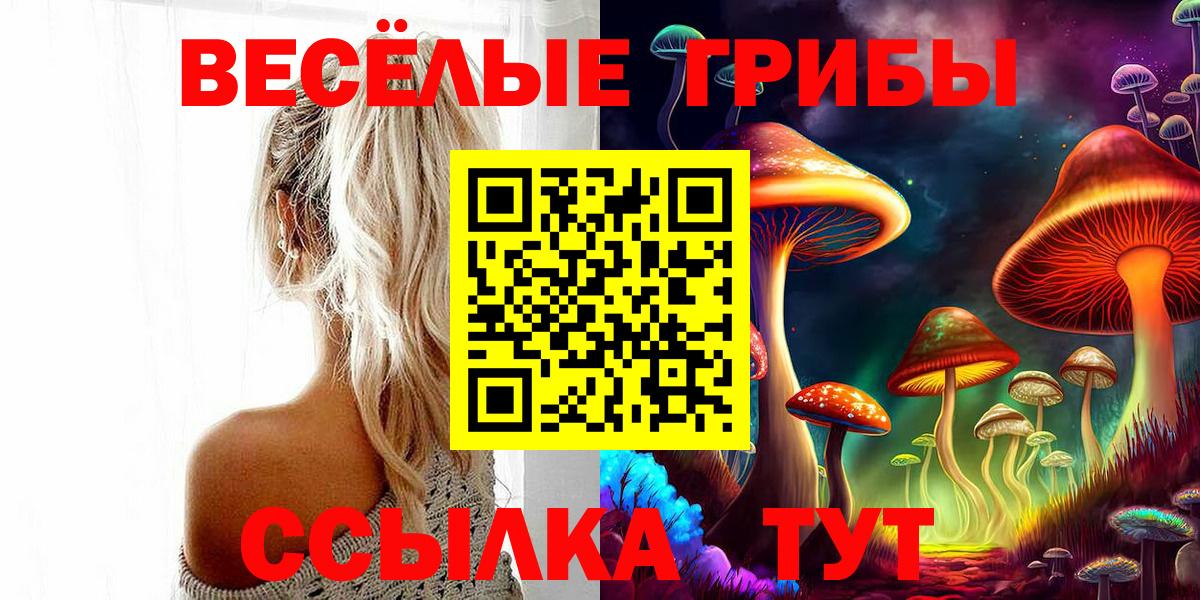 магазин продажи   Вход с VPN  Десногорск  Галлюциногенные грибы Magic Shrooms 